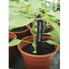 Garland Plant Labels 10cm 50pk