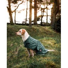 Towelling Dog Robe Green