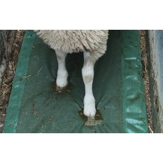 JFC Foam Footbath For Sheep