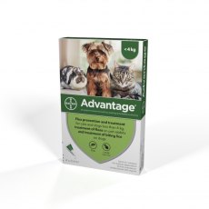 Advantage Anti-flea - 4 Pipettes Advantage Anti-flea - 4 Pipettes