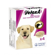 Veloxa Xl Dog - 4 Tablets Veloxa Xl Dog - 4 Tablets