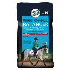 Baileys No.19 Performance Balancer - 20kg Baileys No.19 Performance Balancer - 20kg
