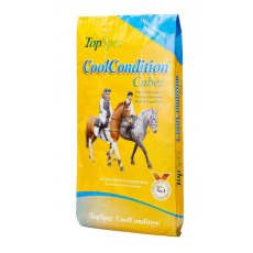 Topspec Cool Condition Cubes - 20kg Topspec Cool Condition Cubes - 20kg