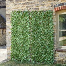 SG Ivy Leaf Trellis