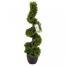 SG Topiary Twirl SG Topiary Twirl