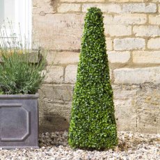 SG Boxwood Obelisk - 90cm SG Boxwood Obelisk - 90cm