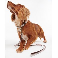 Barbour Reflective Dog Lead