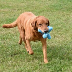 ZOON SQUEAKY 15CM POOCH JACK