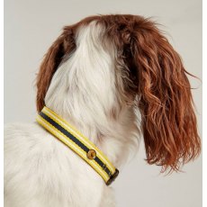 JOULES STRIPED DOG COLLAR