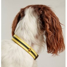 Joules Striped Dog Collar