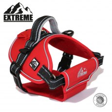 ANCOL EXTREME HARNESS - SMALL