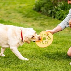 Zoon Dog Spinner - 25cm