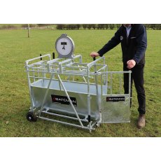 Bateman Lamb Weigh Crate -  Mechanical