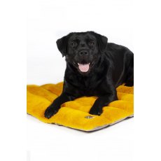 HKM Blue Travel Dog Blanket