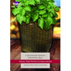 Potato - Growing Bag