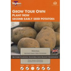 Nicola Seed Potato - 10pk