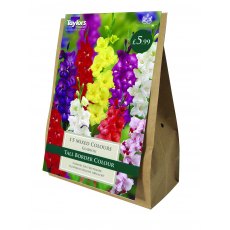 The Border Collection Mix