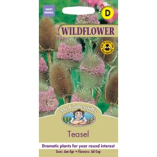 Fothergills Wildlife Garden Teasel