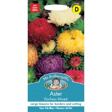 Fothergills Aster Duchess Mixed