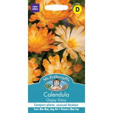Fothergills Calendula Oopsy Daisy Fothergills Calendula Oopsy Daisy
