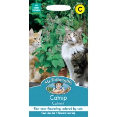 Fothergills Catmint Catnip Fothergills Catmint Catnip