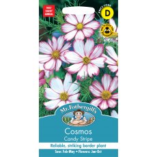Fothergills Cosmos Candy Stripe Fothergills Cosmos Candy Stripe