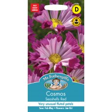 Fothergills Cosmos Seashells Red Fothergills Cosmos Seashells Red