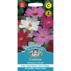 Fothergills Cosmos Sensation Mixed Fothergills Cosmos Sensation Mixed