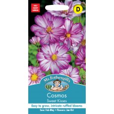 Fothergills Cosmos Sweet Kisses Fothergills Cosmos Sweet Kisses