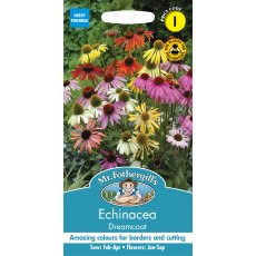 Fothergills Echinacea Dreamcoat Fothergills Echinacea Dreamcoat