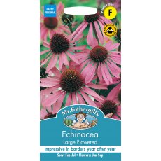 Fothergills Echinacea Large Flowered Fothergills Echinacea Large Flowered
