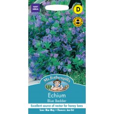 Fothergills Echium Blue Bedder Fothergills Echium Blue Bedder