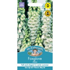 Fothergills Foxglove Alba Fothergills Foxglove Alba