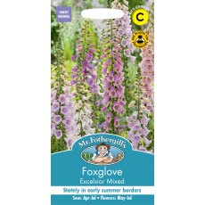 Fothergills Foxglove Excelsior Mixed Fothergills Foxglove Excelsior Mixed