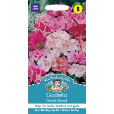 Fothergills Godetia Dwarf Mixed Fothergills Godetia Dwarf Mixed