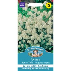 Fothergills Grass Bunny Tails Fothergills Grass Bunny Tails