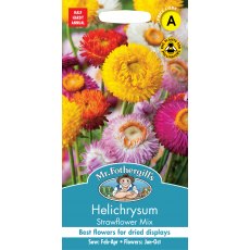Fothergills Helichrysum Strawflower Mix Fothergills Helichrysum Strawflower Mix