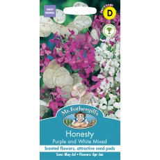 Fothergills Honesty Puprle & White Mixed Fothergills Honesty Puprle & White Mixed