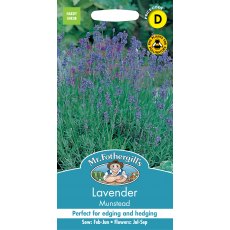 Fothergills Lavender Munstead Strain Fothergills Lavender Munstead Strain