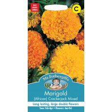 Fothergills Marigold African Crackerjack Mix Fothergills Marigold African Crackerjack Mix