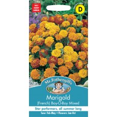 Fothergills Marigold French Boy O Boy Mixed Fothergills Marigold French Boy O Boy Mixed