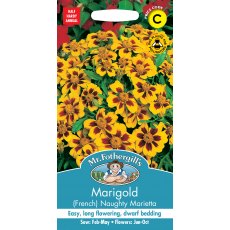 Fothergills Marigold French Naughty Marietta Fothergills Marigold French Naughty Marietta