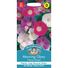 Fothergills Morning Glory Choice Mixed Fothergills Morning Glory Choice Mixed