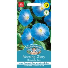 Fothergills Morning Glory Heavenly Blue Fothergills Morning Glory Heavenly Blue