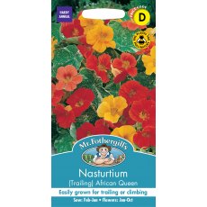 Fothergills Nasturtium African Queen Fothergills Nasturtium African Queen