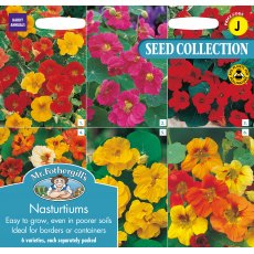 Fothergills Seed Collection Nasturtiums Fothergills Seed Collection Nasturtiums
