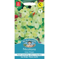Fothergills Nicotiana Lime Green Fothergills Nicotiana Lime Green