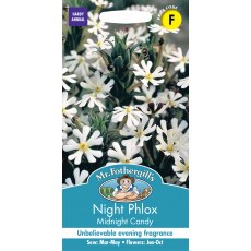 Fothergills Night Phlox Midnight Candy Fothergills Night Phlox Midnight Candy