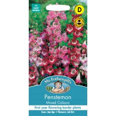 Fothergills Penstemon Mixed Colours