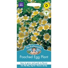 Poached Egg Plant J Seeds